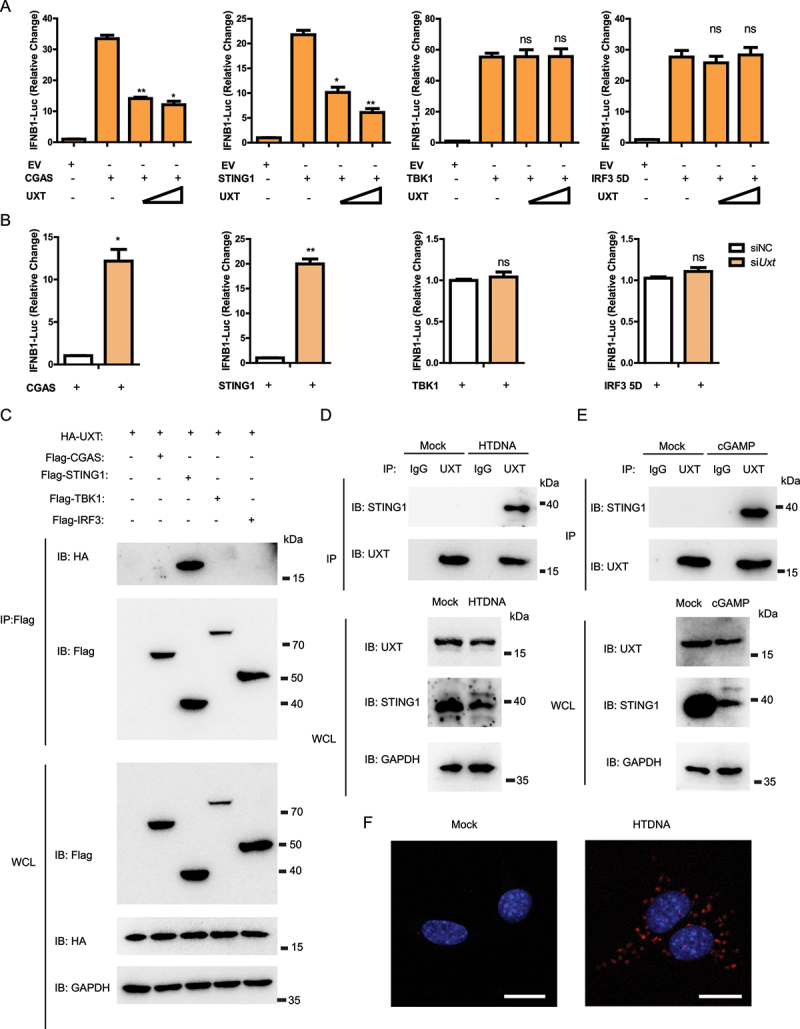 Figure 4.