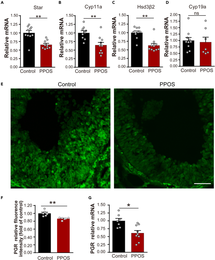 Figure 4
