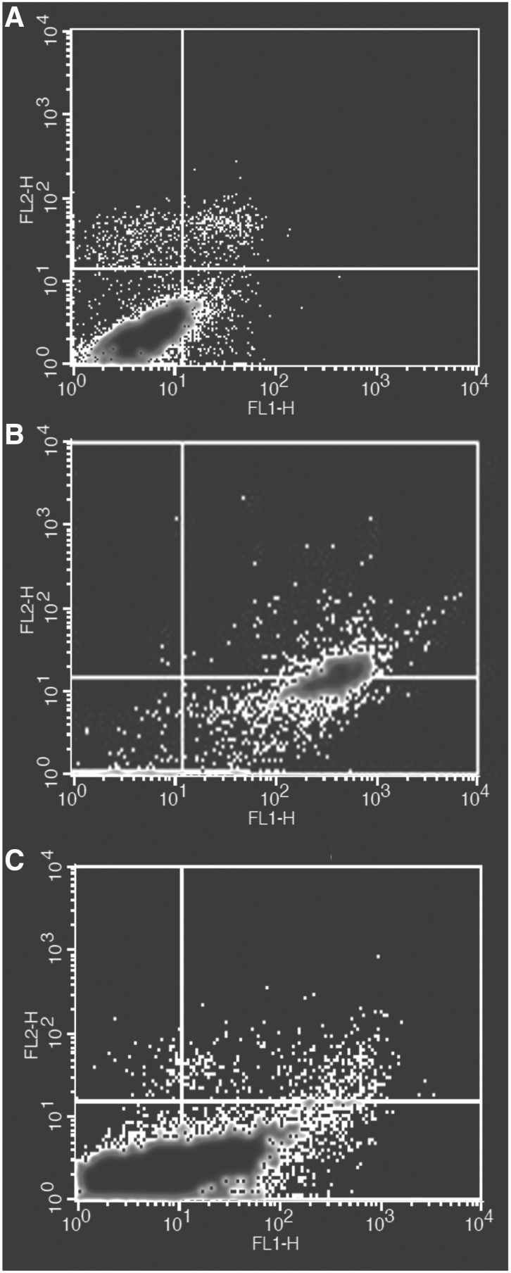 FIG. 6.