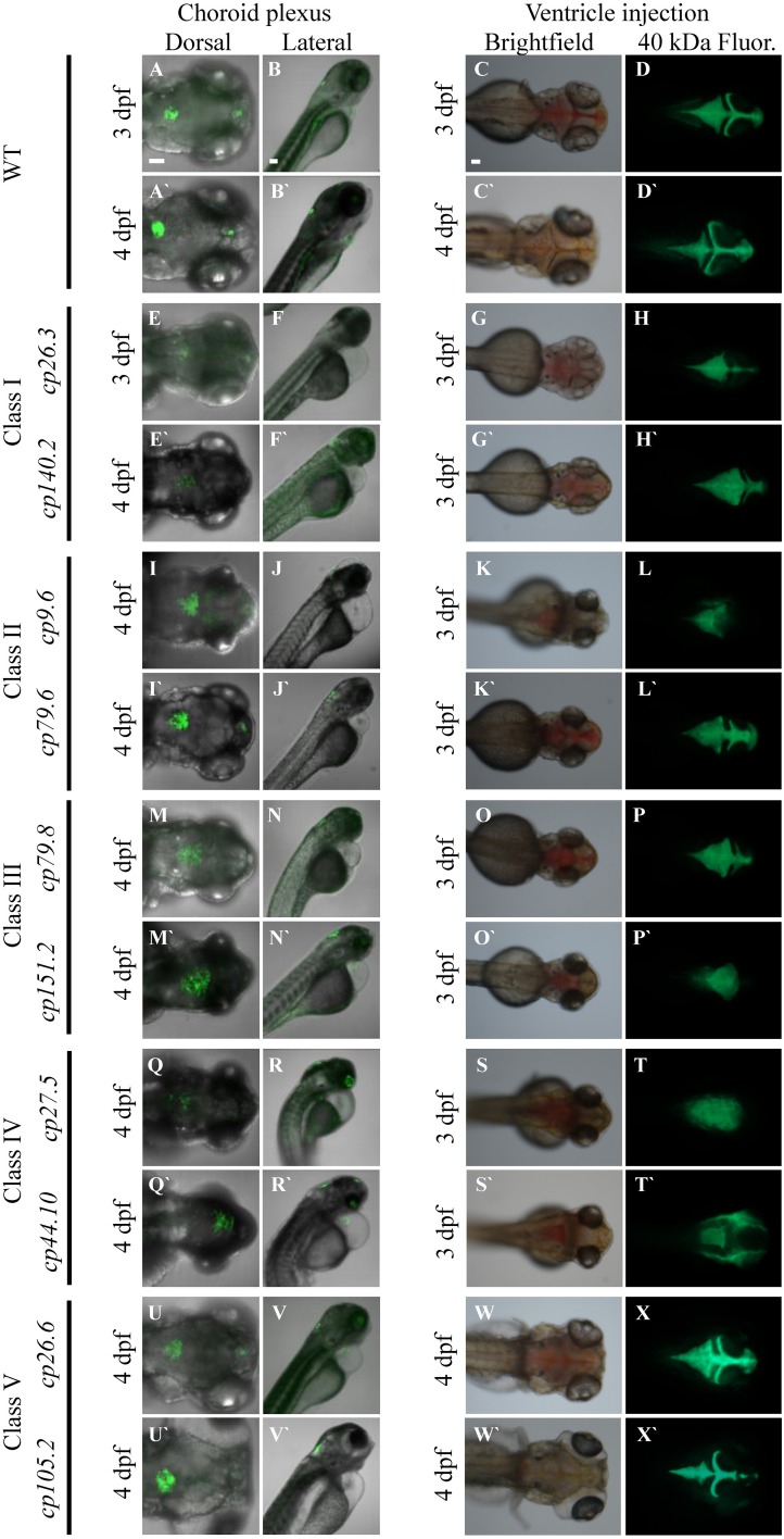 Figure 7