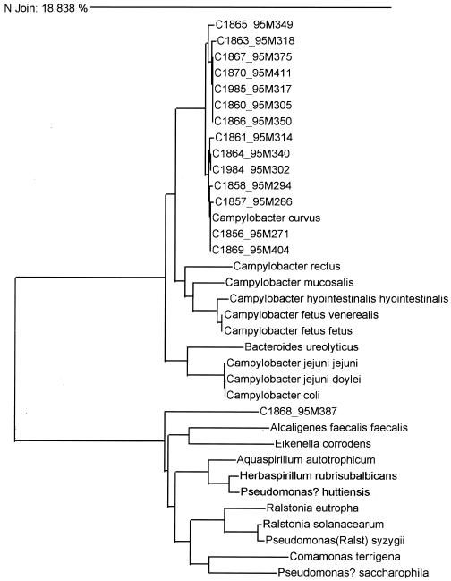 FIG. 1.