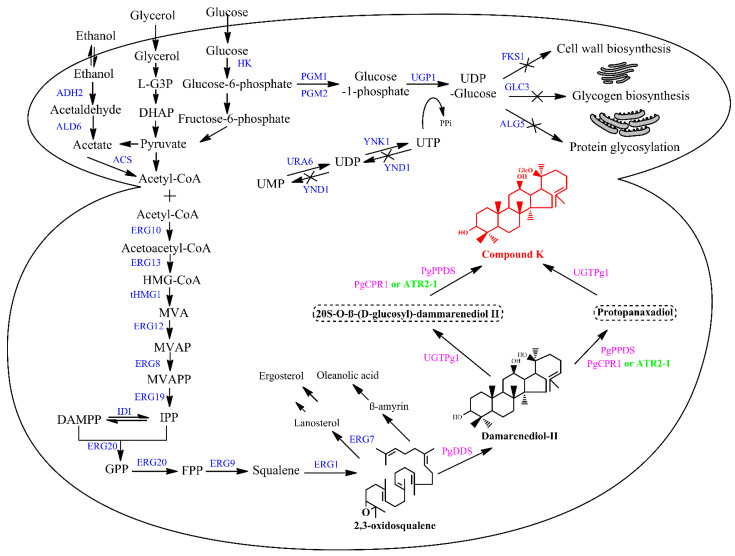 Figure 4