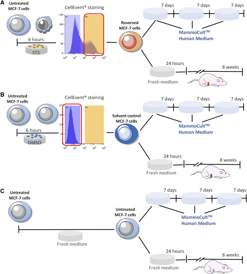 Supplementary Figure 4