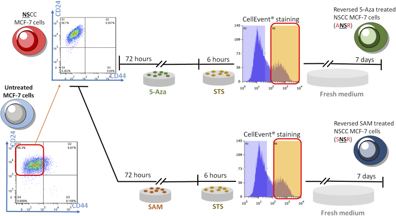 Supplementary Figure 9