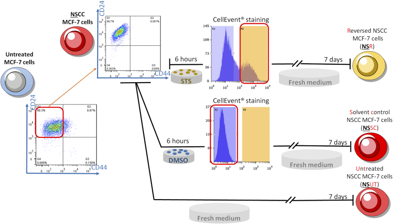 Supplementary Figure 7