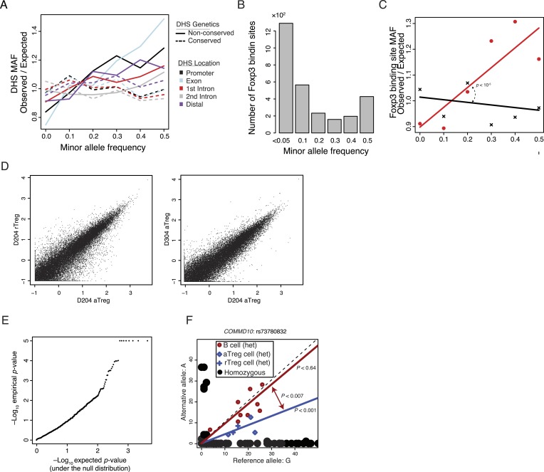 Figure 4—figure supplement 1.