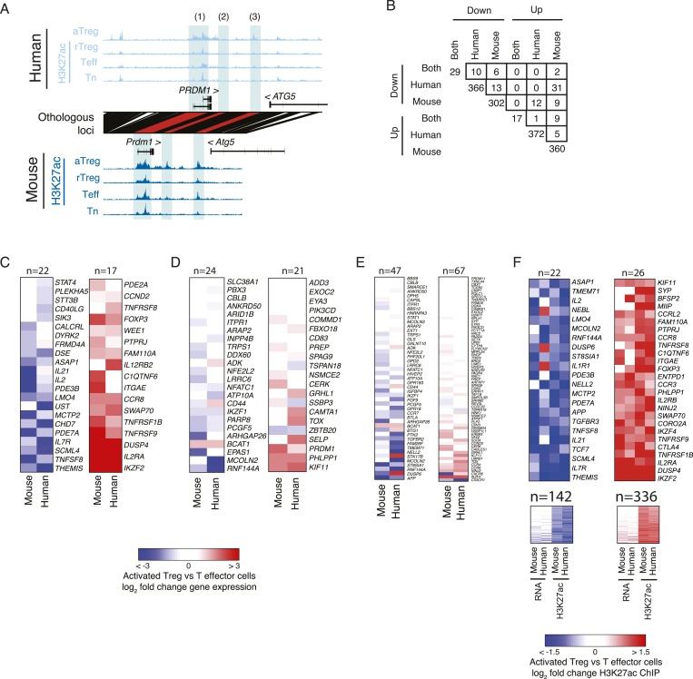 Figure 2—figure supplement 2.