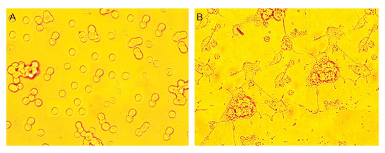 Fig.1