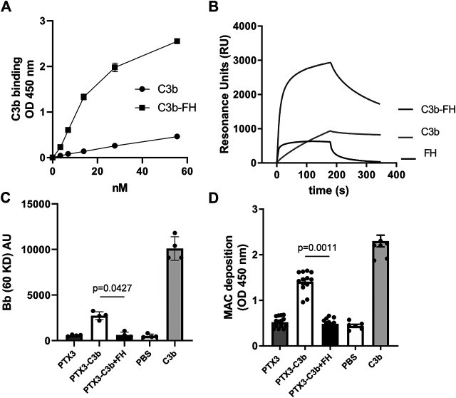 FIGURE 3