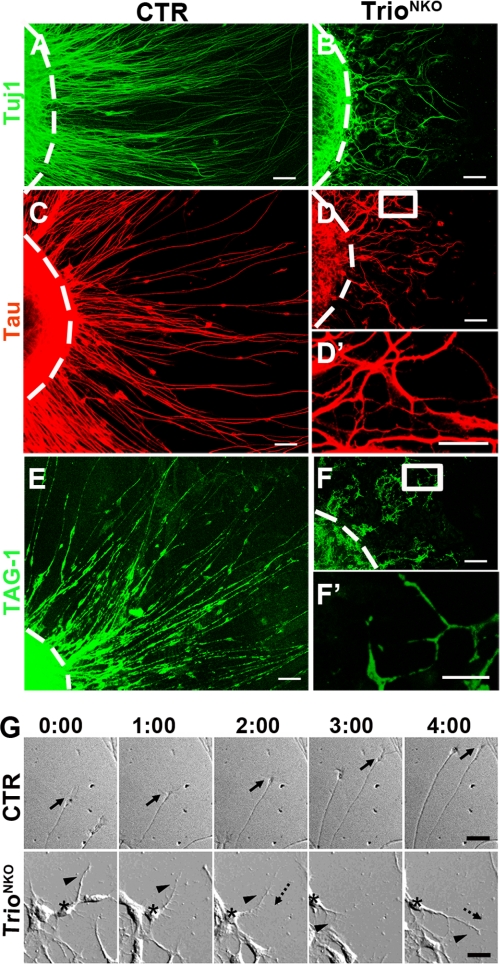 FIGURE 6.