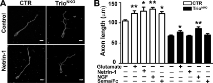 FIGURE 10.