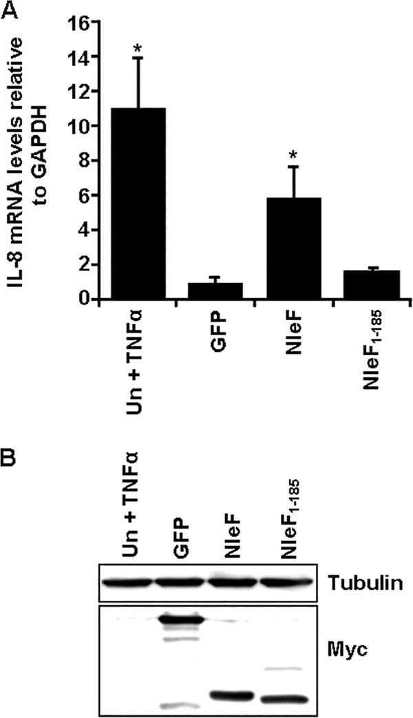 FIG 4