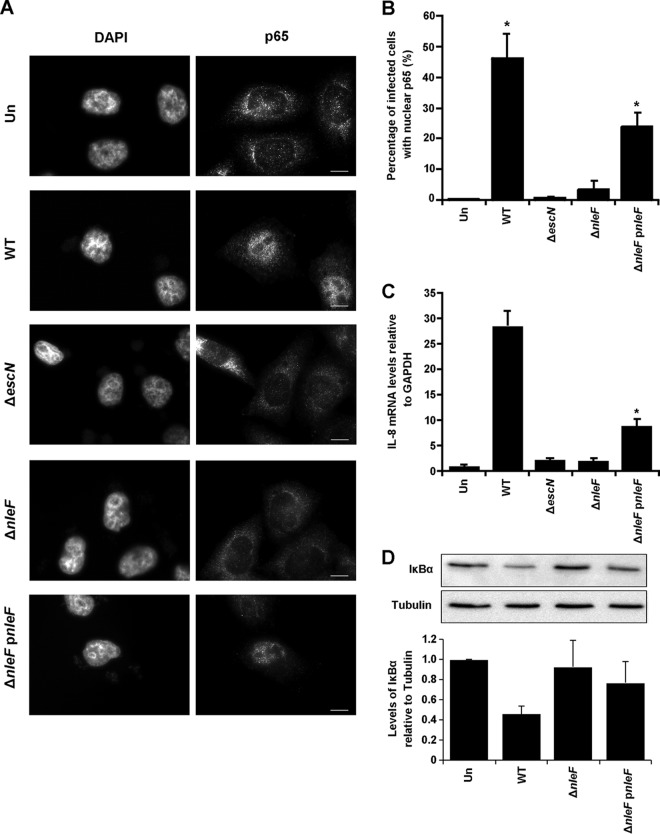 FIG 6