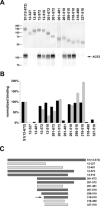 F<sc>ig</sc>. 1