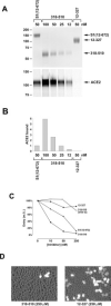 F<sc>ig</sc>. 2