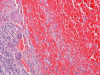 Fig.8