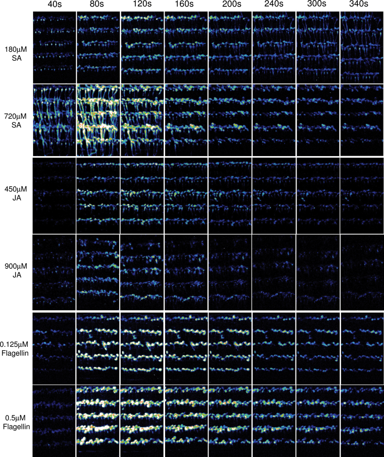 Figure 4.