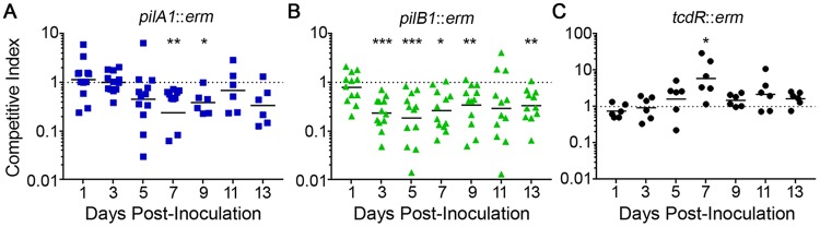 FIG 6