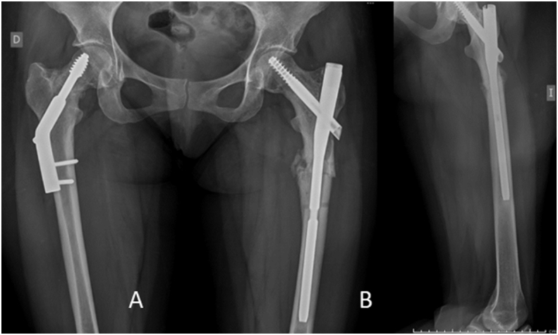 Fig. 6