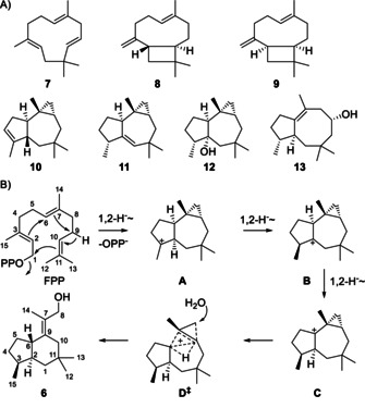 Scheme 2