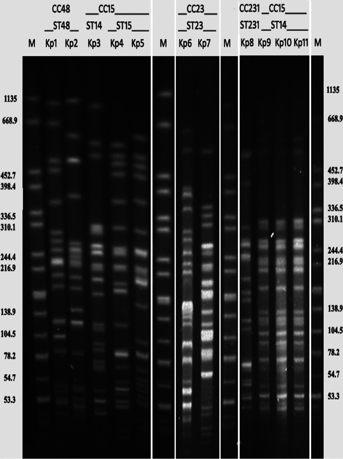 FIG 1