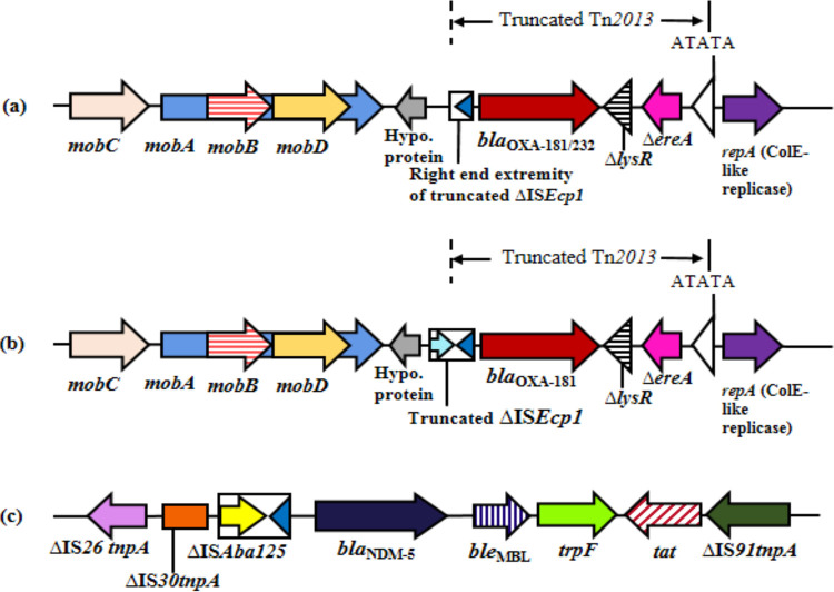 FIG 2