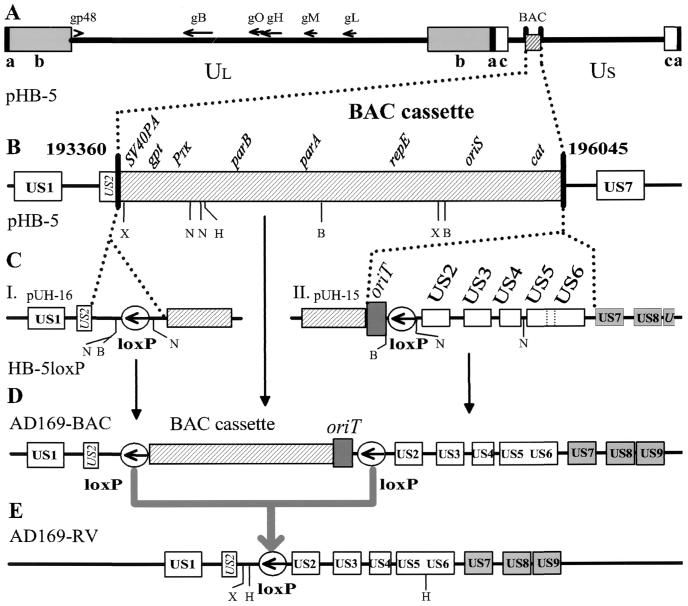 FIG. 1