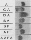 67