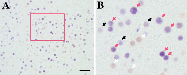 Fig. 5.