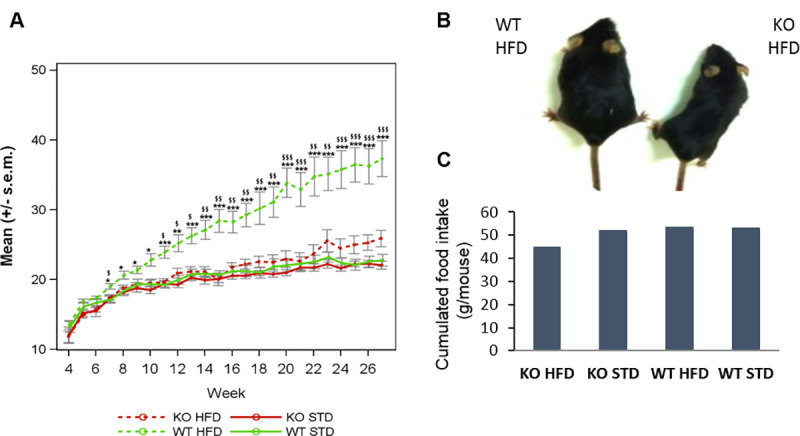 Fig 3