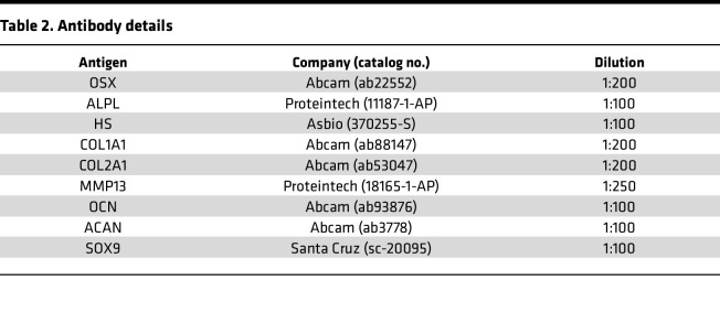 graphic file with name jciinsight-9-173449-g135.jpg