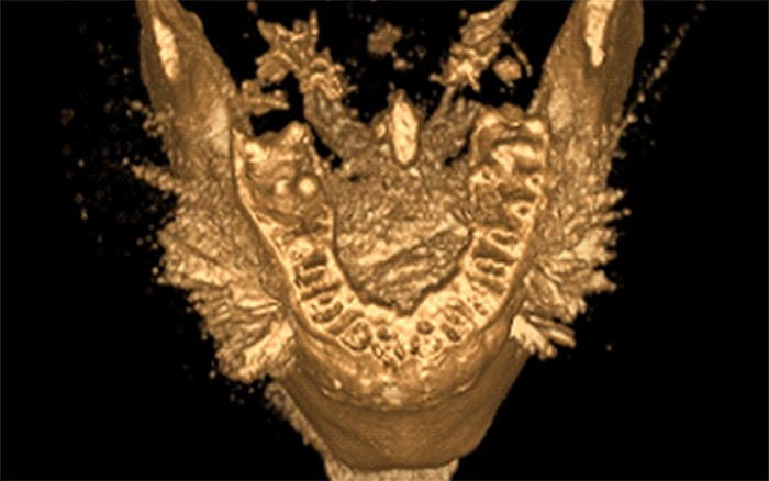 Figure 9.