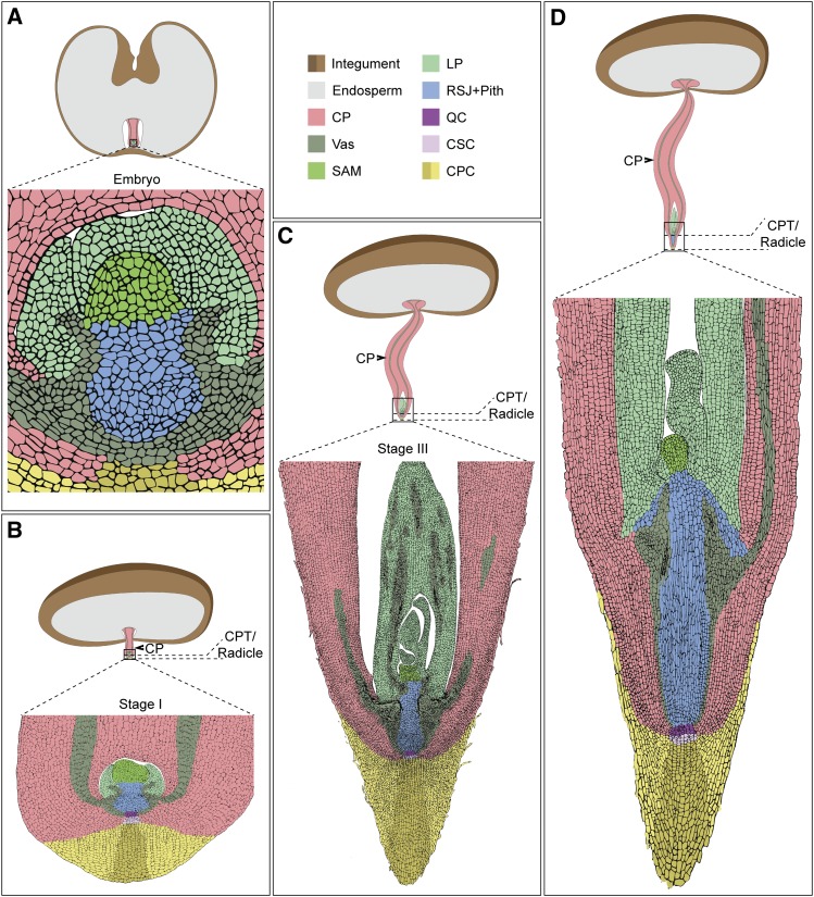 Figure 6.