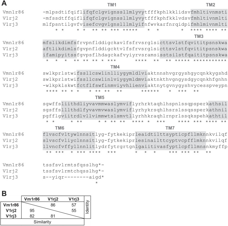 Figure 2—figure supplement 1.