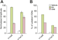 Figure 5—figure supplement 3.