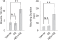 Figure 9—figure supplement 1.