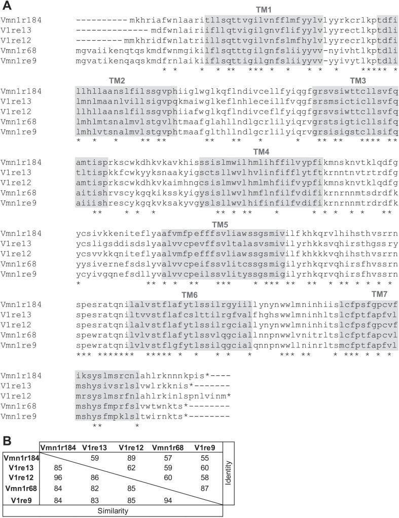 Figure 5—figure supplement 1.