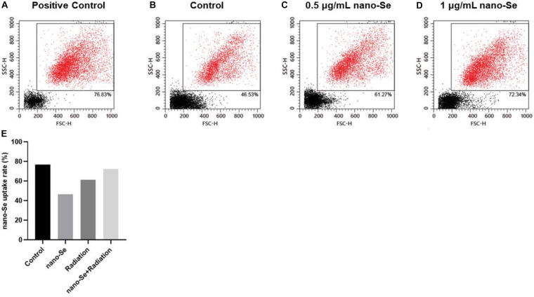 FIGURE 3