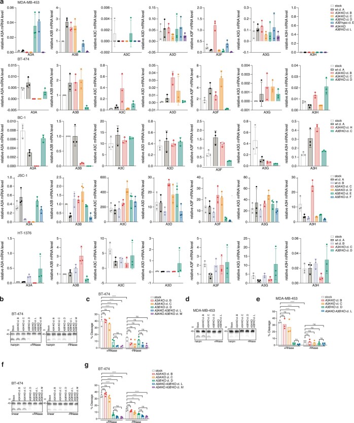 Extended Data Fig. 2