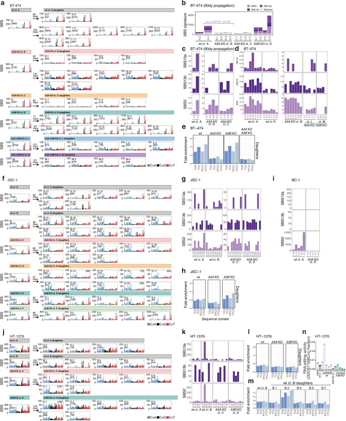 Extended Data Fig. 6