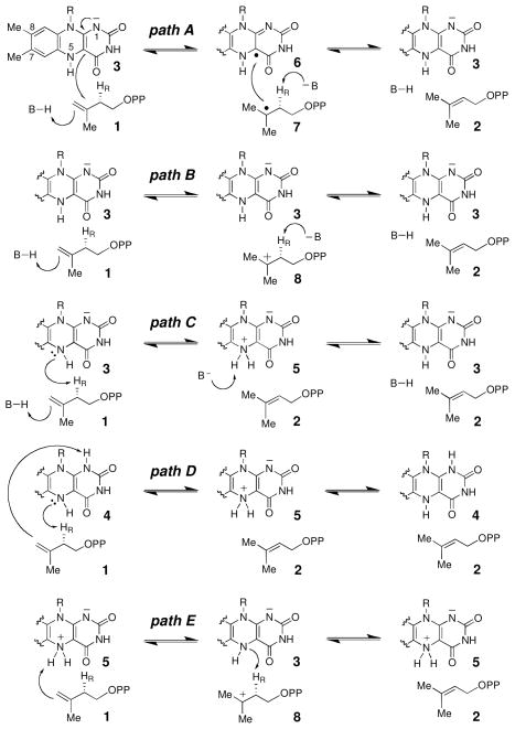 Scheme 1