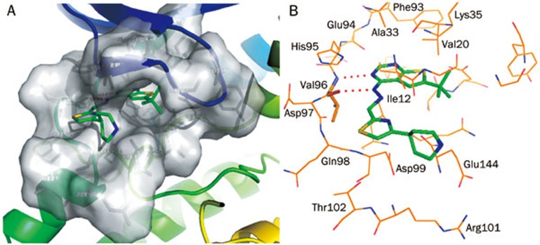 Figure 2