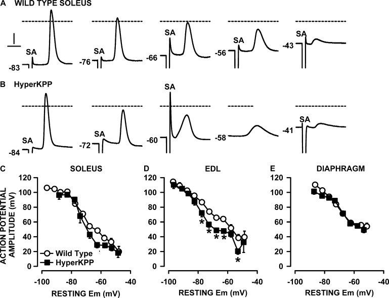 Figure 12.