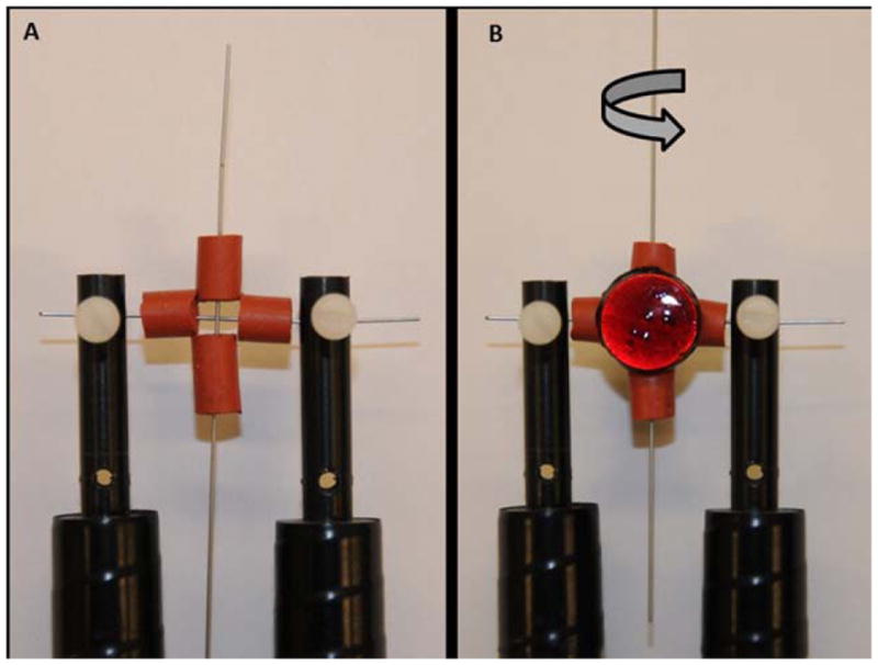 FIGURE 1