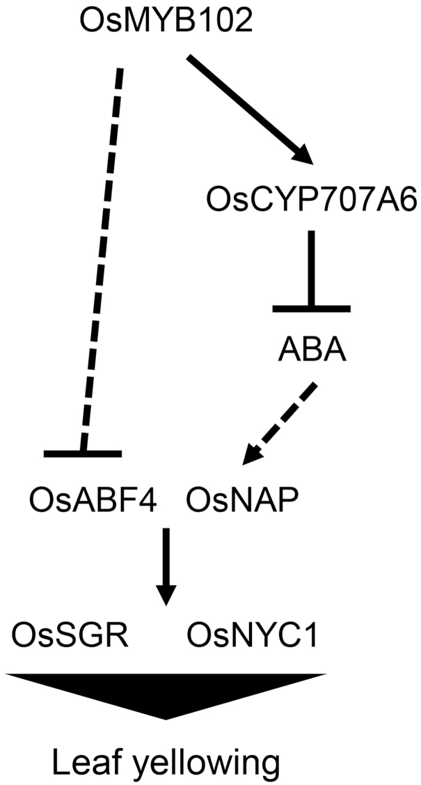 Fig. 10.