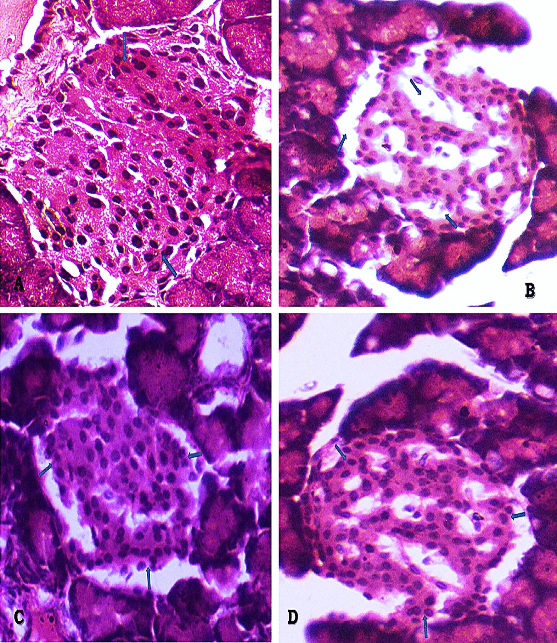 Fig. 7