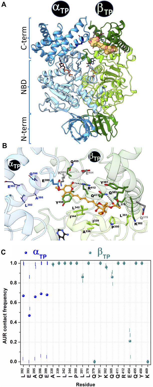 FIGURE 2