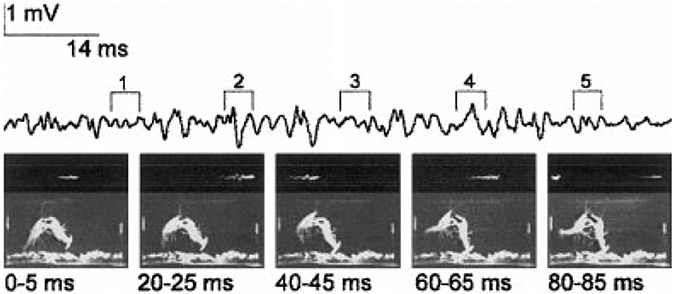 Fig. 1.