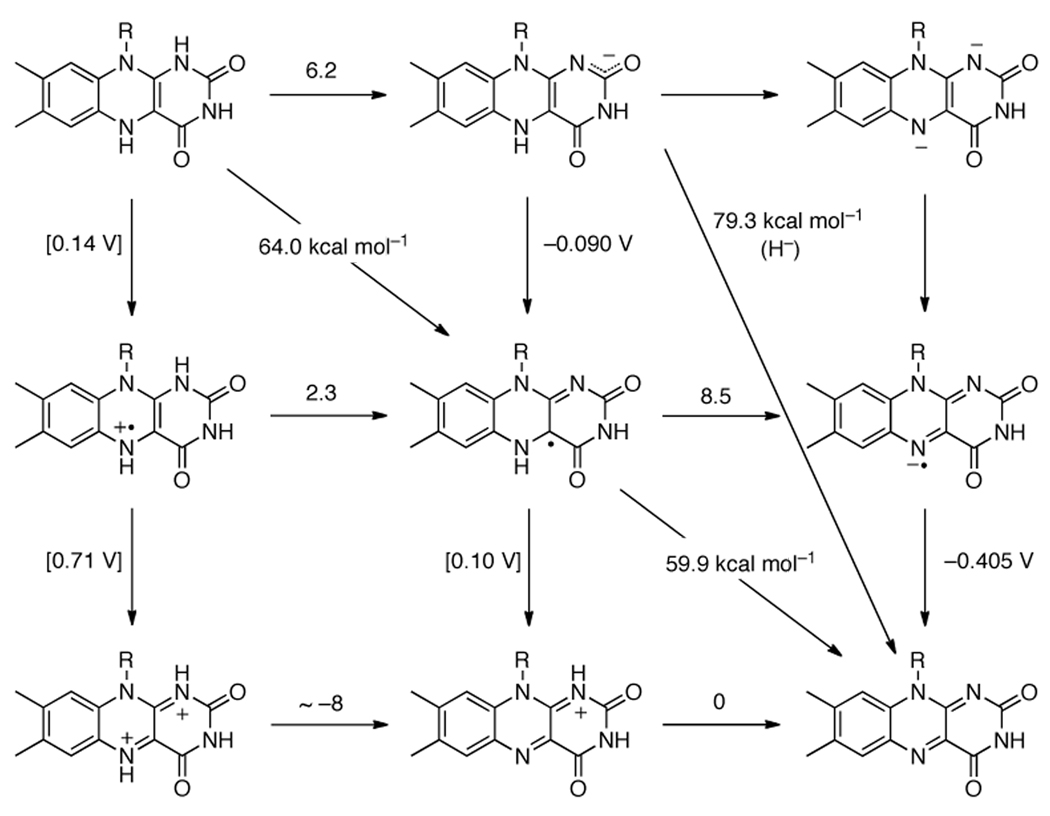 Figure 7