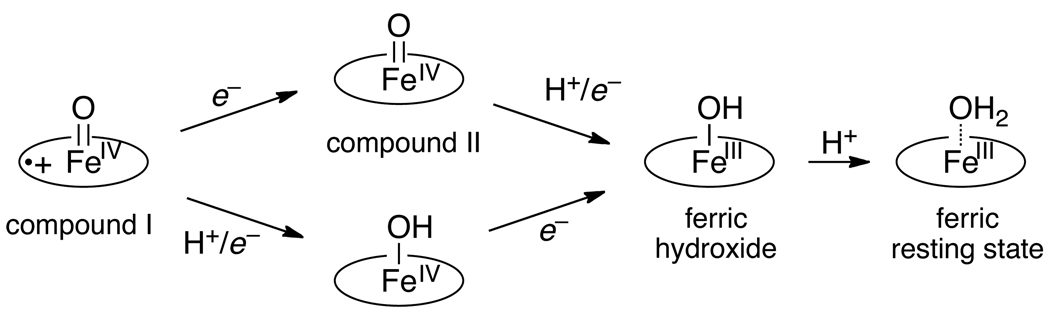 Scheme 13